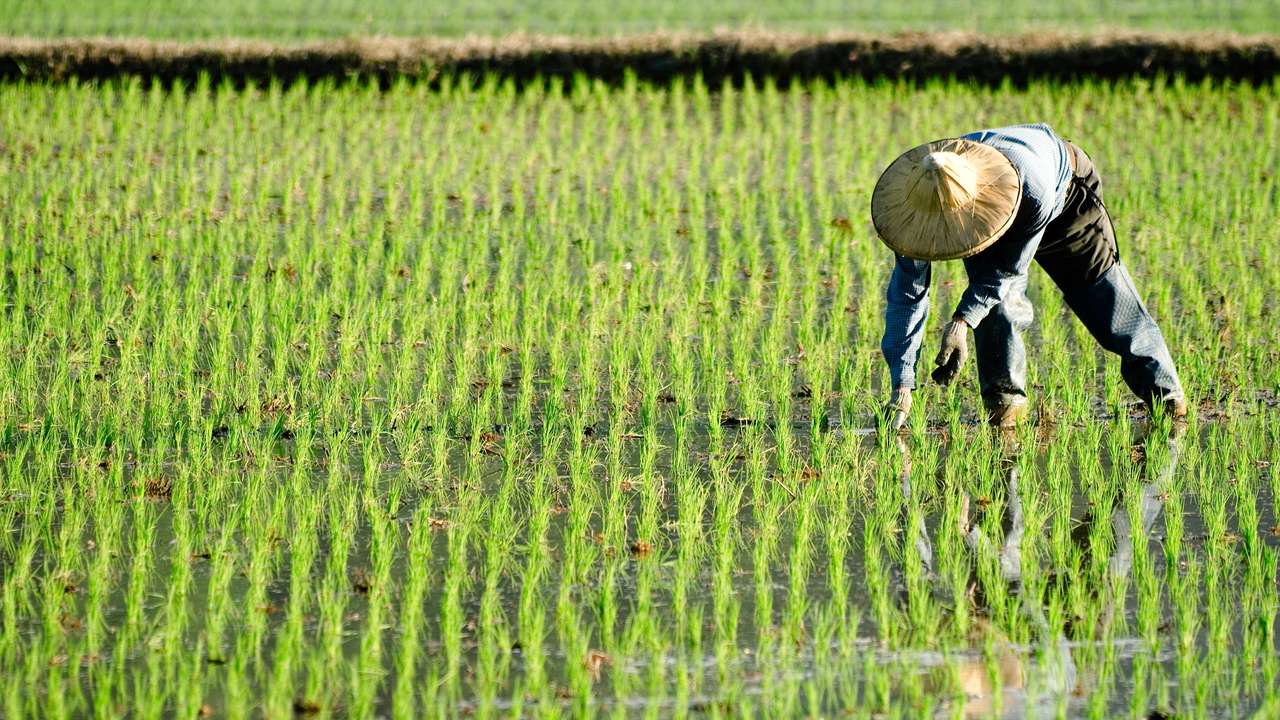 Vietnam Highlights