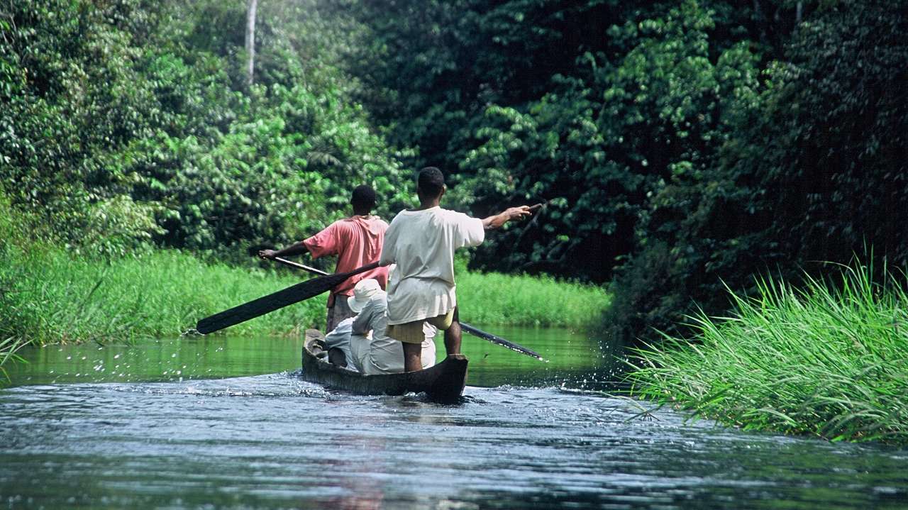 Congo Holidays - Steppes Travel