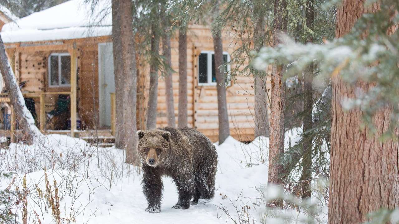 Bear Cave Mountain Adventures Camp, Canada Steppes Travel